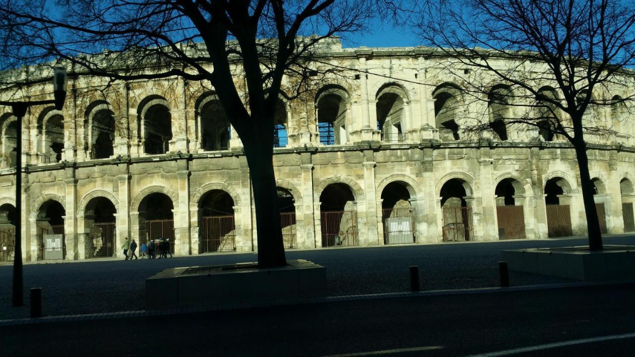 Domus Titus Spacieux T2 Proche De La Gare Nîmes Dış mekan fotoğraf